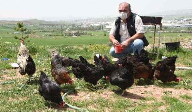 KKTC, yanlışlıkla yaptığı başvurusunu onaylamıştı, Valilikten iznini aldı