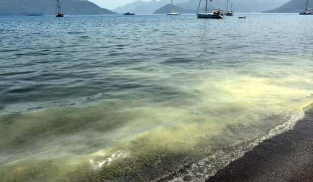 Marmaris'te denizde şoke eden görüntü