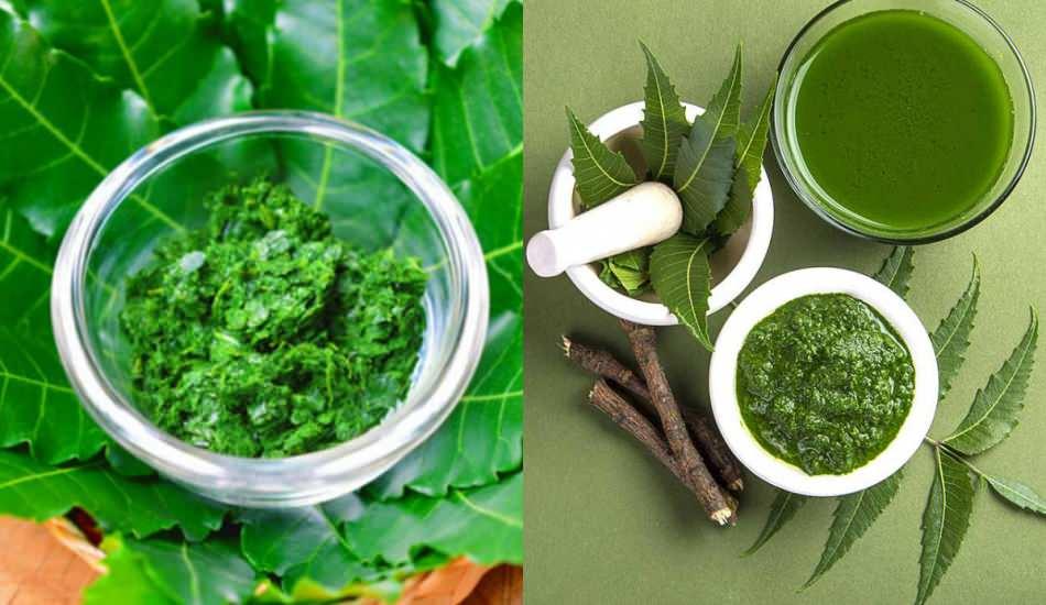 neem_agaci_nedir_neem_agacinin_faydalari_neem_agacinin_kullanim_alanlari_zarari_1589982647_2565.jpg