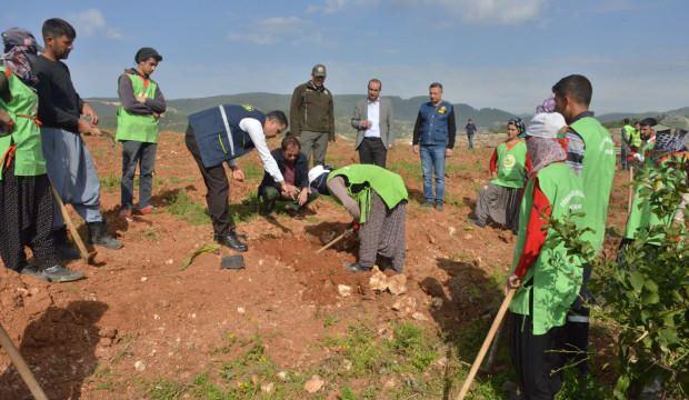 Mersin’de işgal edilmek istenen ormanlık alan “İdlib Şehitleri Hatıra Ormanı” oldu