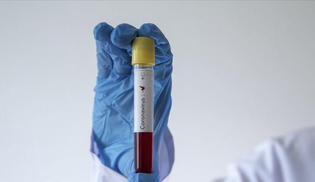 Myanmar'da ilk kez bir Arakanlı Müslüman'da Kovid-19'a rastlandı