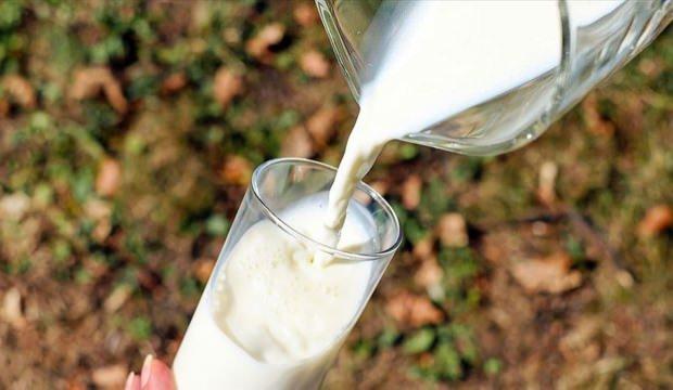 Çiğ süt desteği ödemelerine ilişkin esaslar belli oldu
