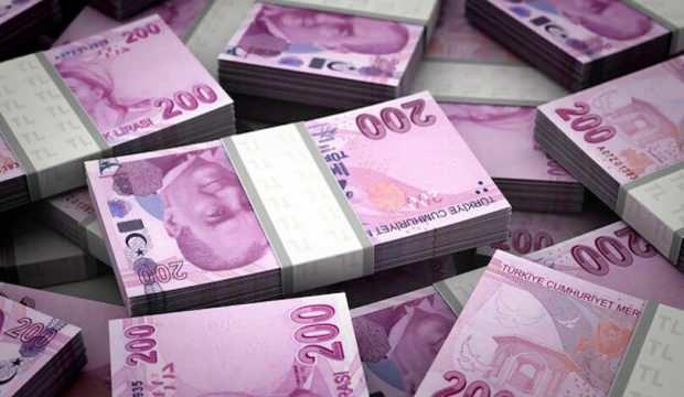 Özel kanunla kurulmuş kamu kuruluşlarına tek hazine hesabı
