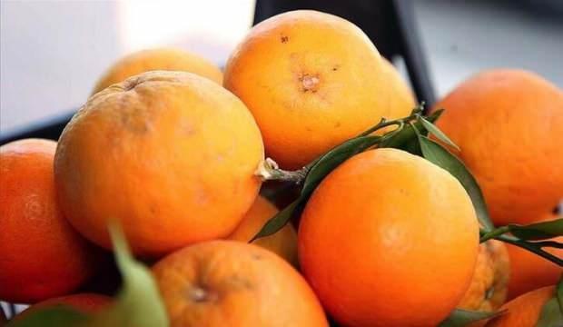 Türk narenciyesini en çok Ruslar tüketti