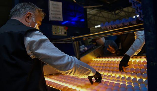 Sektör hız kesmeden büyüyor! İhracat 195 milyon adetten 4.5 trilyon adete yükseldi