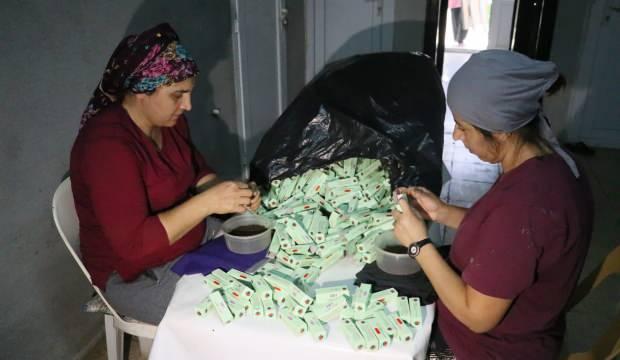 Türkiye'den yurt dışına "faydalı böcek" satıyorlar