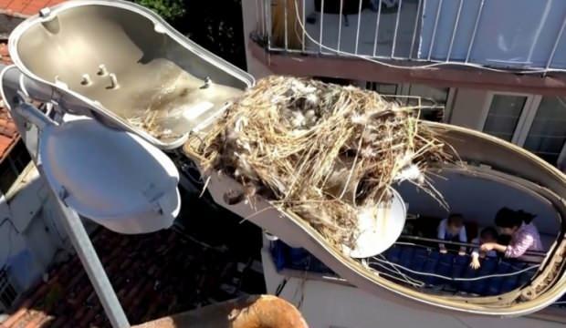 Bursa'da arıza için gittiler, kuş yuvasıyla karşılaştılar