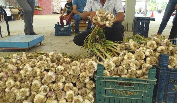 Kilosu 30 liradan satılıyordu Yerlisi çıktı fiyatı düştü