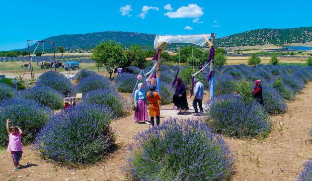 250 nüfuslu 'lavanta köyü' 1 milyon kişiyi ağırlayacak