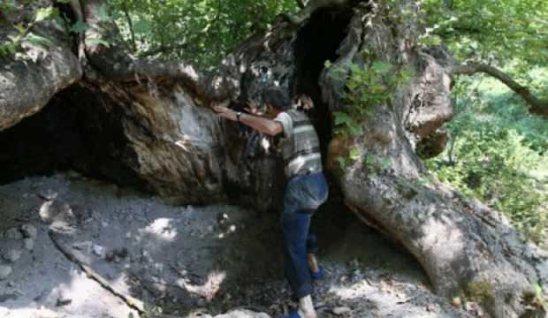 Bursa Da Rezalet 700 Yillik Cinari Define Icin Yaktilar Guncel Haberleri