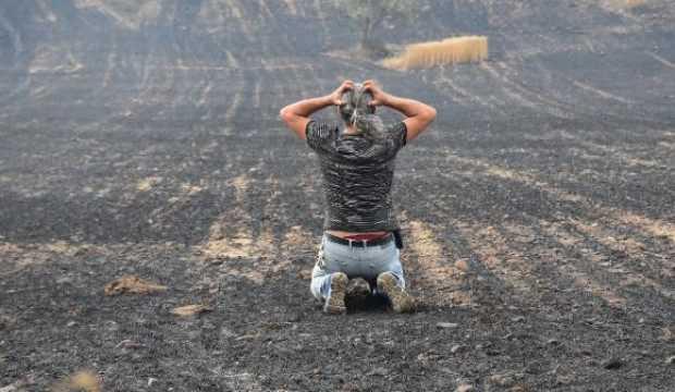 Gelibolu'da tarlaları yanan köylülerin üzüntüsü