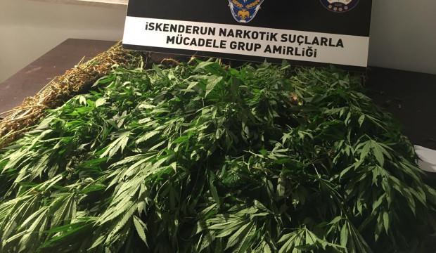 Hatay'da uyuşturucu operasyonu