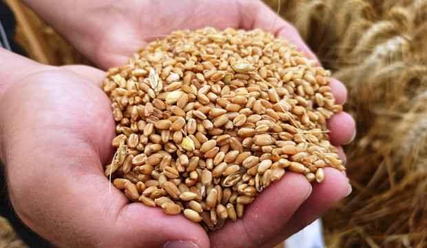 Samsun'da yerli ve milli imkanlarla üretildi