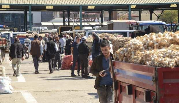 Sarımsak için nöbet tutuyorlar