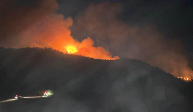 20 ildeki yangınlarda son durum! Bakan Pakdemirli açıkladı