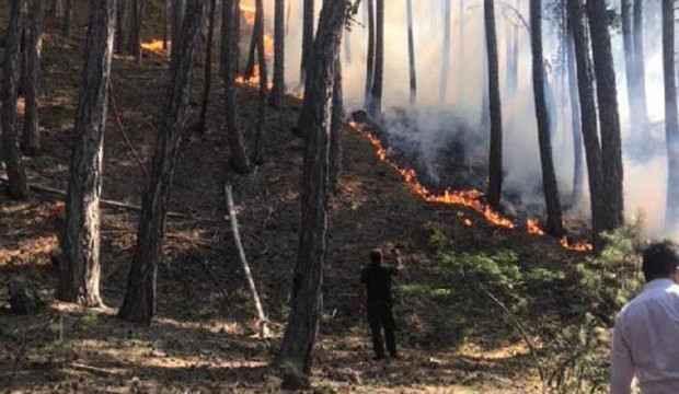 Ankara'da milli parkta yangın