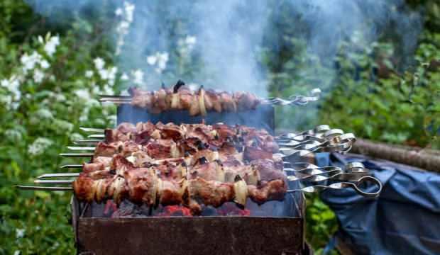 Bakan Pakdemirli'den mangal açıklaması!