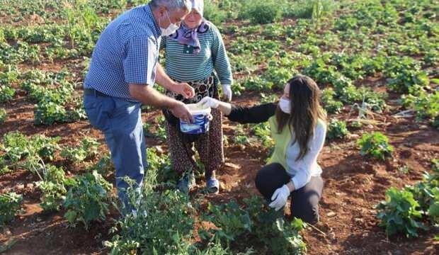 Su kullanmadan üretildi! Kilosu 150 TL'ye satılıyor
