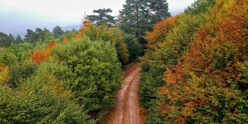Domaniç Dağları'nda sonbaharın ilk renkleri