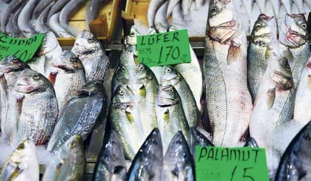 Kilosu 170 TL’den lüfer tezgahlarda