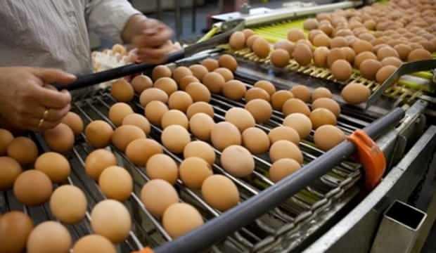 TZOB'dan yumurta için yeni talep