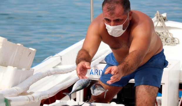 Palamut, karaya çıkmadan alıcı buluyor