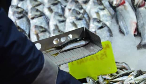 Balık sezonunun açılmasıyla birlikte denetimler başladı