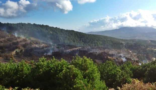 Bergama Dan Yayilan Yanginda 100 Hektar Orman Kul Oldu Guncel Haberleri
