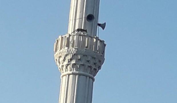 Cami minaresinde dolaşan tilki görenleri şaşırttı