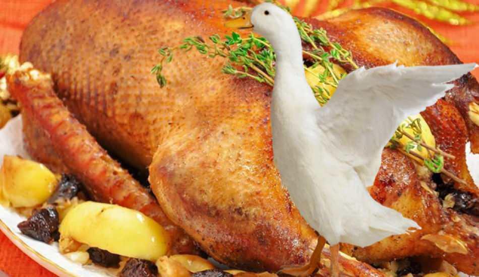 kaz_nasil_temizlenir_kaz_nasil_kesilir_kaz_ayiklama_yontemleri_nelerdir_1601732938_7308.jpg