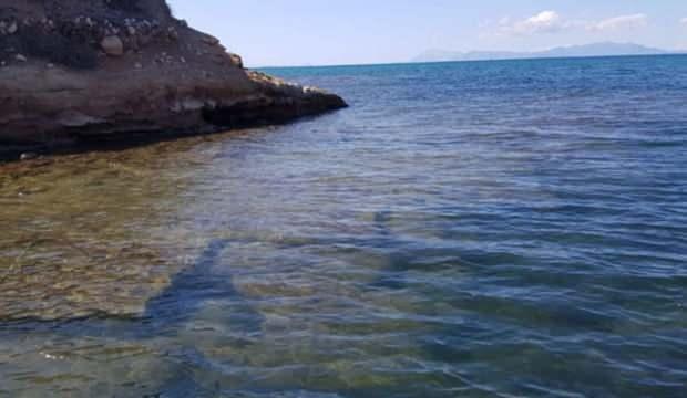 haber 7
