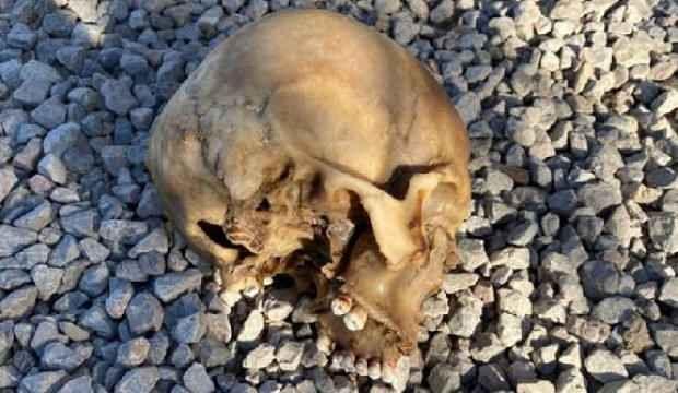 Köpeklerin bulduğu kafatasının kimliği belirlendi