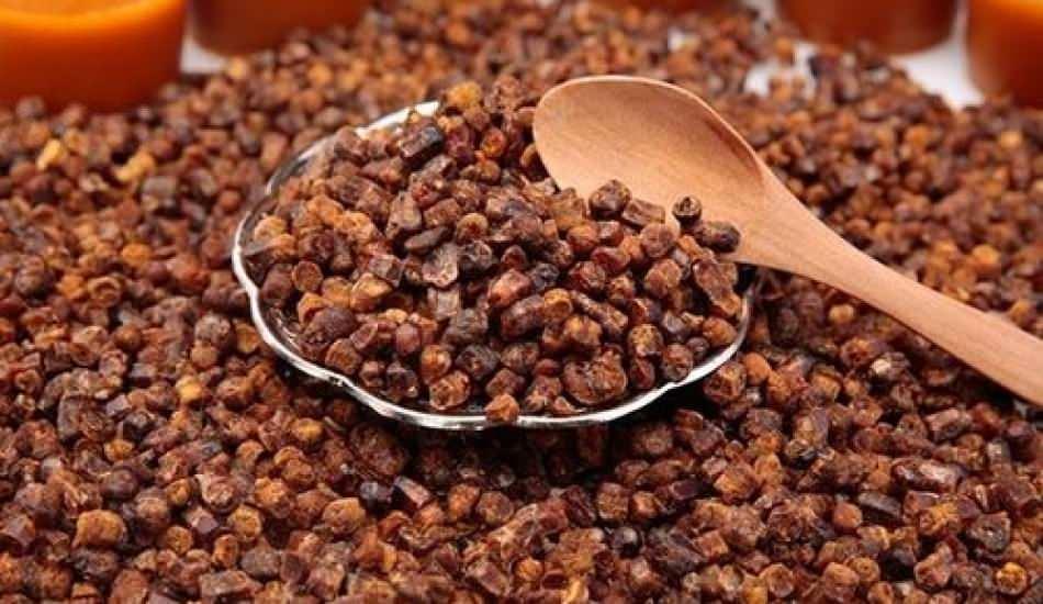 Yeni Gozde Vitamin Deposu Ari Ekmegi Perga Nedir Ari Ekmeginin Faydalari Nelerdir Saglik Haberleri