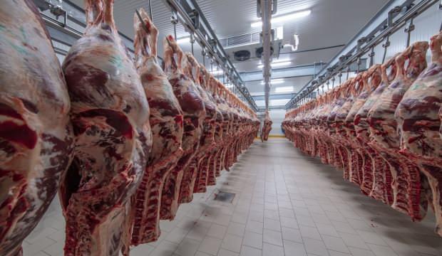 ESK, büyükbaş karkas etin alım fiyatını artırdı