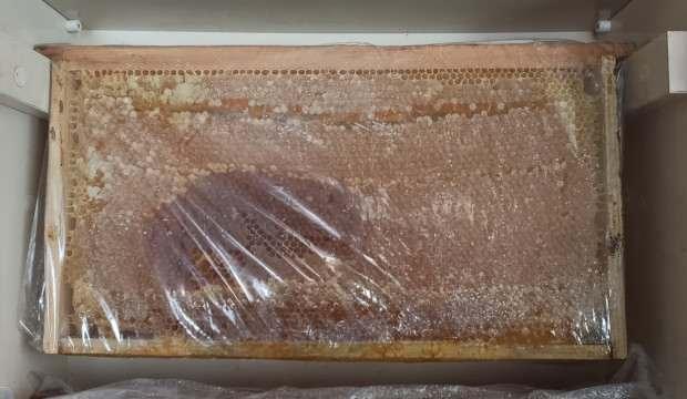 Korona virüs propolise ilgiyi artırdı