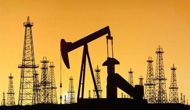 10 petrol ve doğal gaz sahası elektronik ortamda satışa çıkarılacak