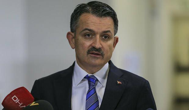 Hatay ve Mersin'deki yangınla ilgili Bakan Pakdemirli'den açıklama