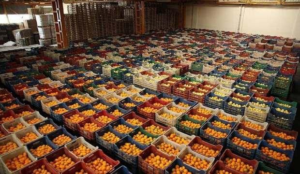 Yaş meyve ve sebzede yıl sonu ihracat hedefi 3 milyar dolar