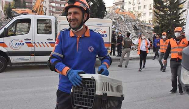 Mestan Kedi Enkazdan 97 Saat Sonra Canli Cikarildi Guncel Haberleri