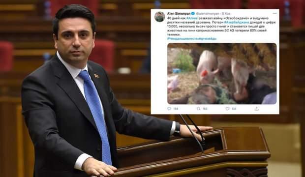 Şehit askerlerin naaşını domuzlara yedirdiler! Twitter görmezden geldi, tepkiler çığ gibi...