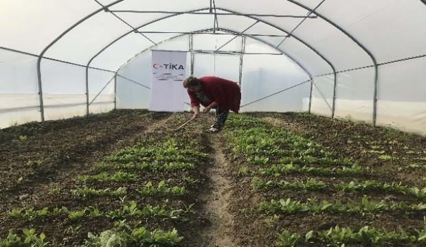 Bosnalı anneler TİKA ile tarım ekonomisine katkı sağlıyor