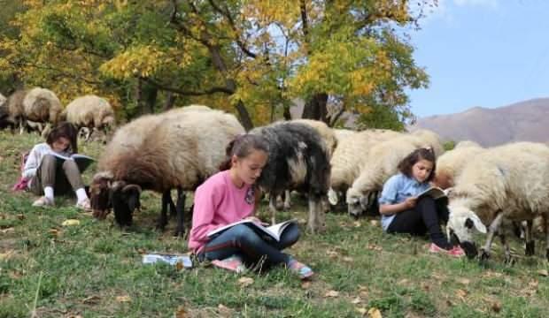Hem koyun güdüyorlar hem de ders çalışıyorlar