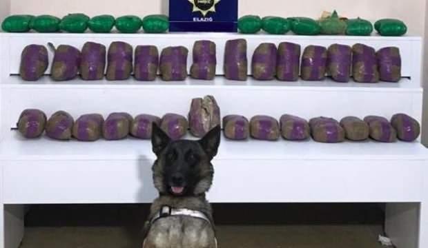 Kamyondaki 41 kilo eroini 'Lina' buldu
