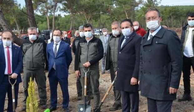Ayvalık'ta yanan alanlarda ağaçlandırma çalışması başladı