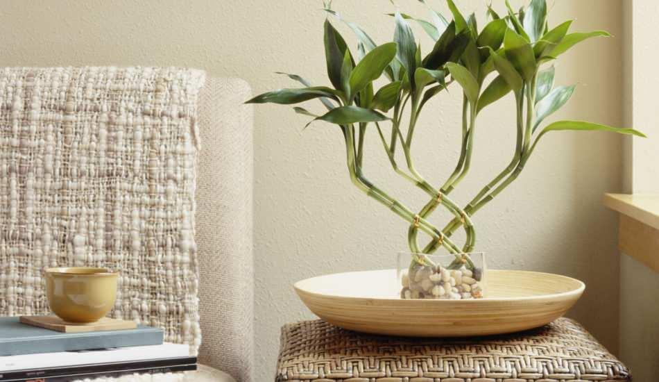 bambu_kullanilarak_yapilabilecek_ev_dekorasyonu_onerileri_1605617706_7349.jpg