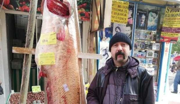 108 kiloluk yayın balığı, kilosu 50 liradan satışta