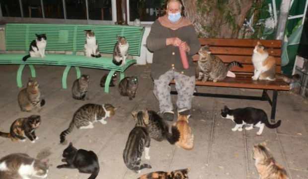Kısıtlamada mahalle mahalle gezip, sokak hayvanlarını besliyor