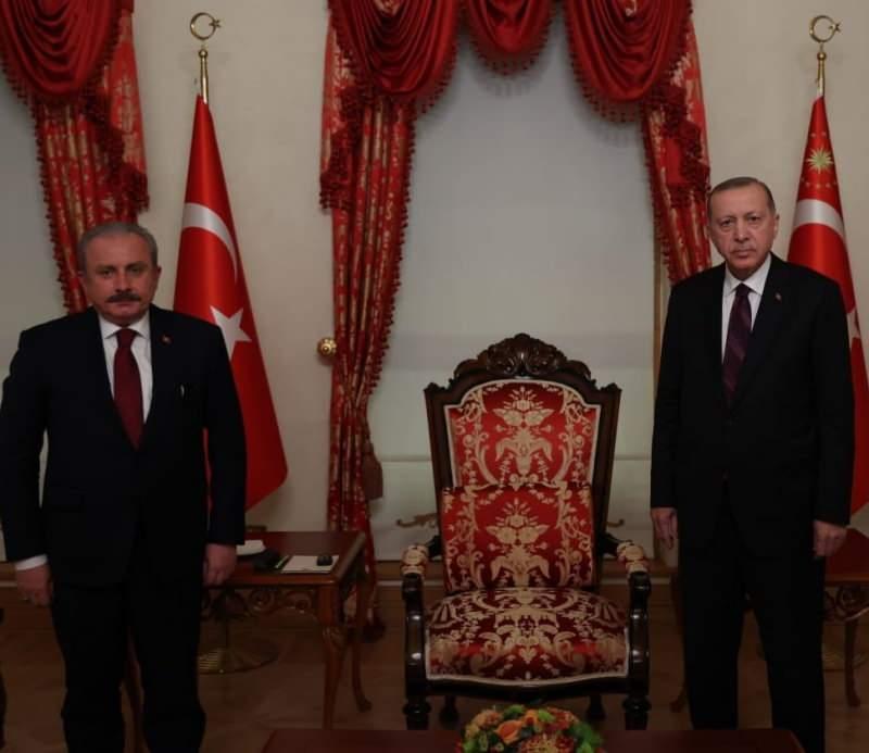 Cumhurbaşkanı Recep Tayyip Erdoğan ve TBMM Başkanı Mustafa Şentop