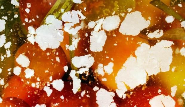 Evde Tursu Bozulmadan Nasil Saklanir Uzerinde Beyaz Tortu Olustuysa Yasam Haberleri