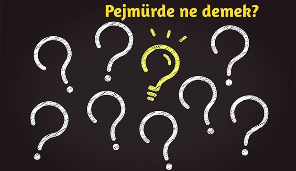 pejmurde_ne_demek_ne_anlama_geliyor_tdkya_gore_pejmurde_kelimesini_anlami_nedir_1607950458_0233.jpg